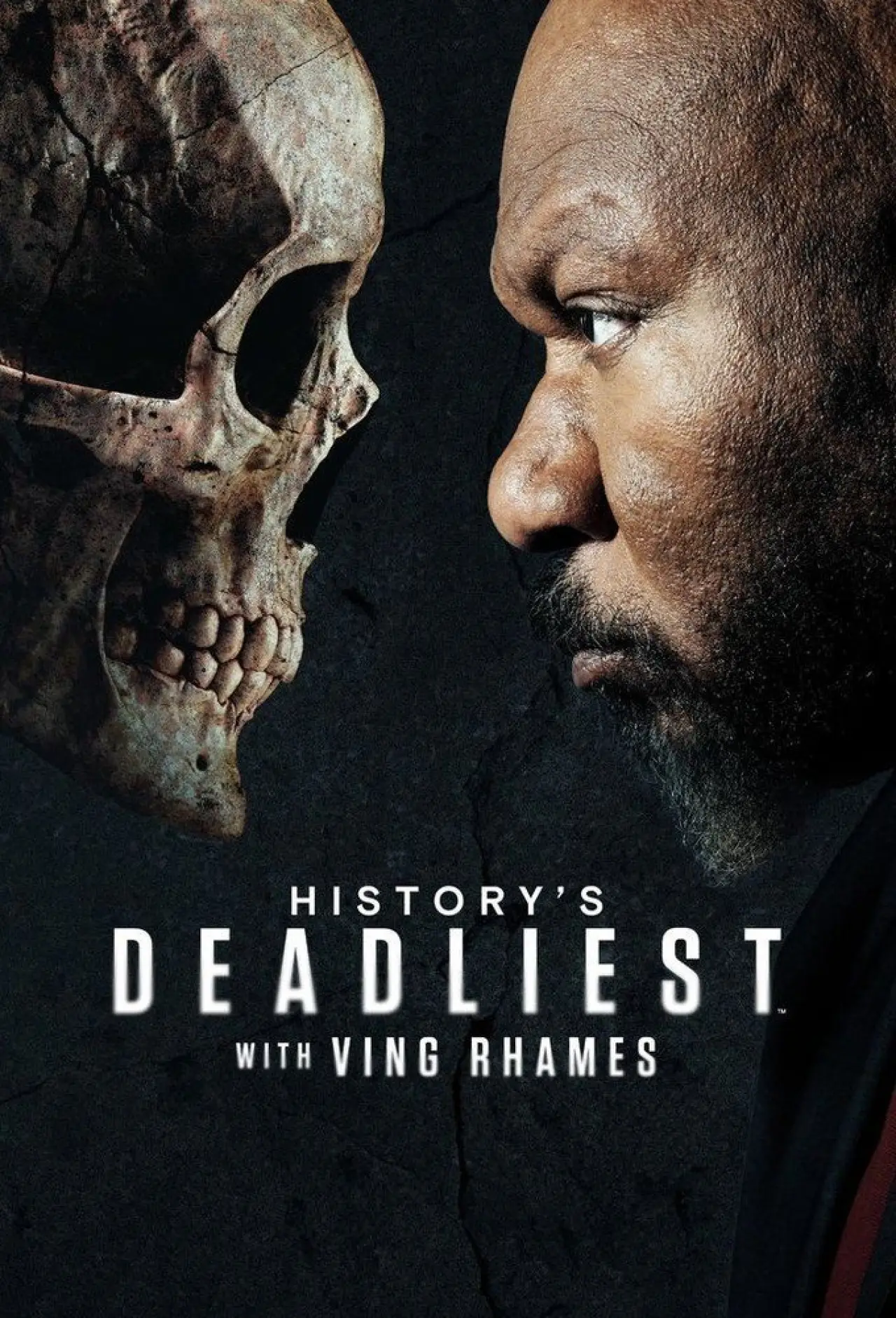 Series poster "History