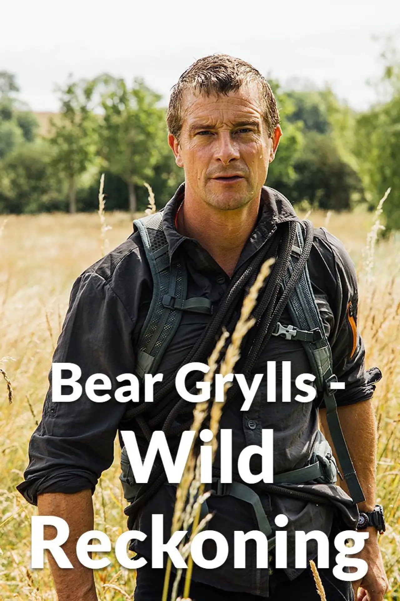 Series poster "Bear Grylls - Wild Reckoning"