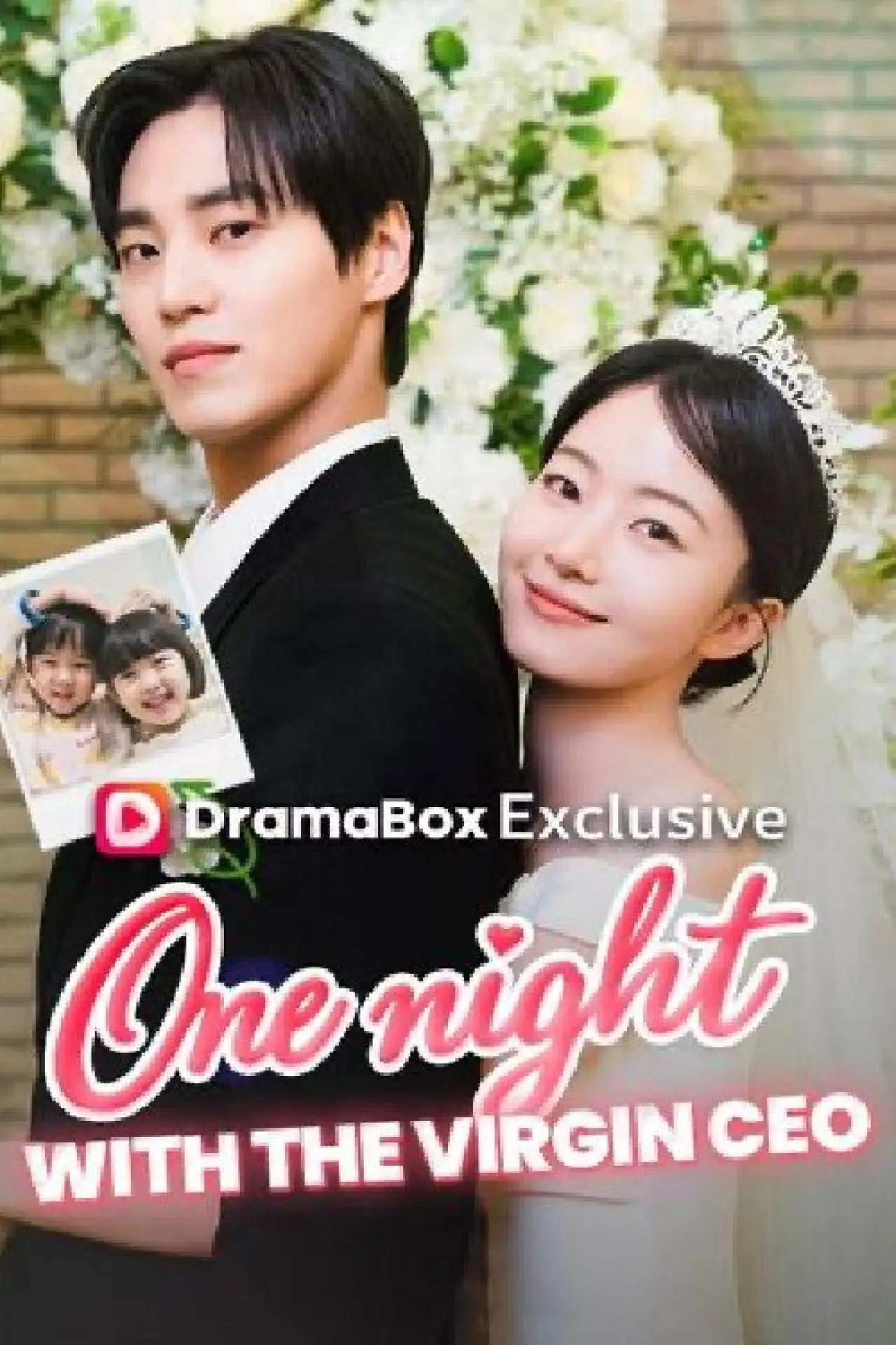 Series poster "One Night With the Virgin CEO"