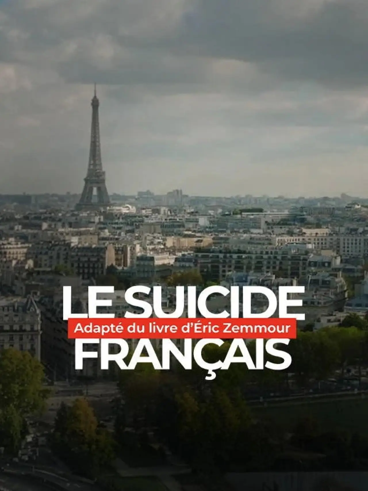 Series poster "Le Suicide Francais"