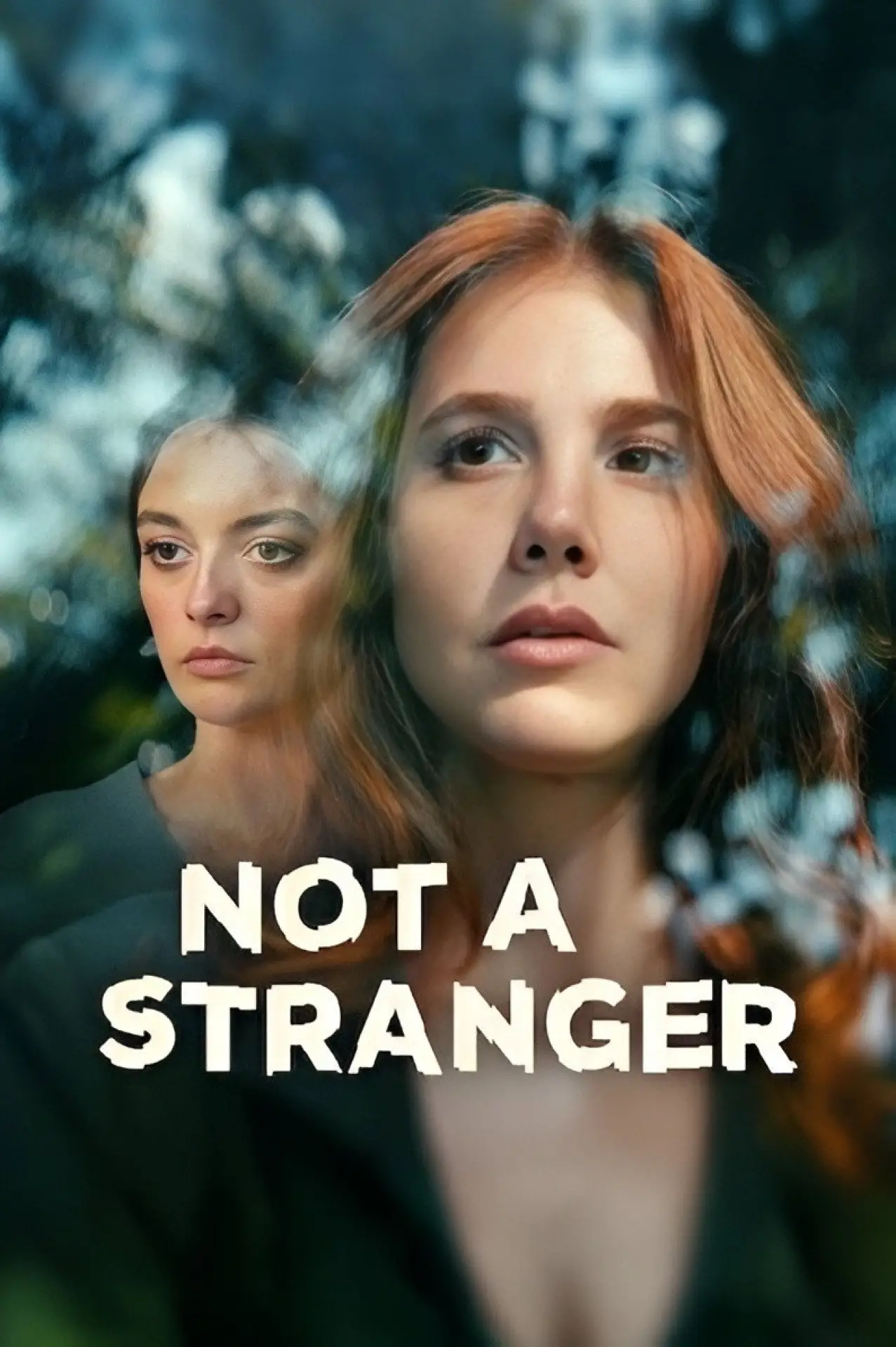 Series poster "Not a Stranger"