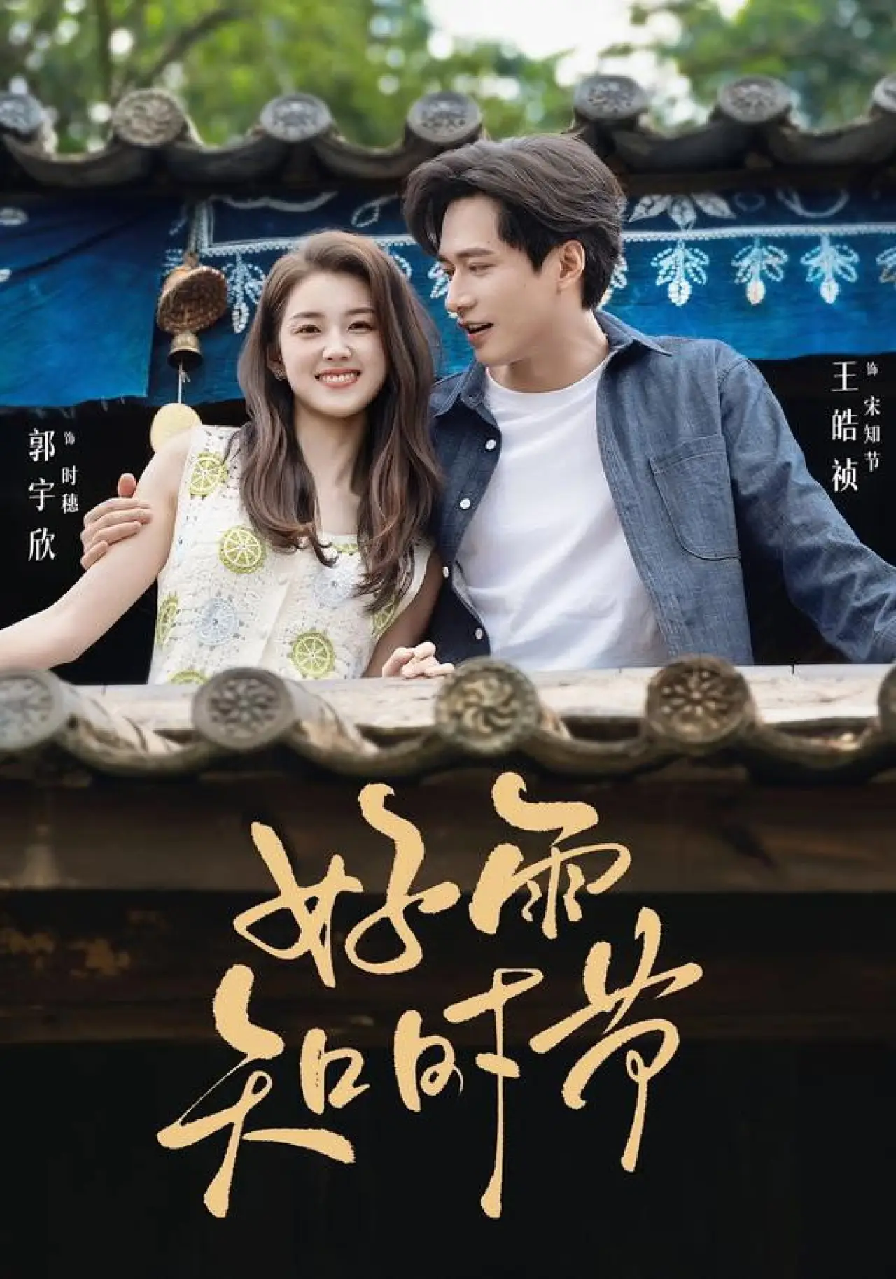 Series poster "好雨知时节"