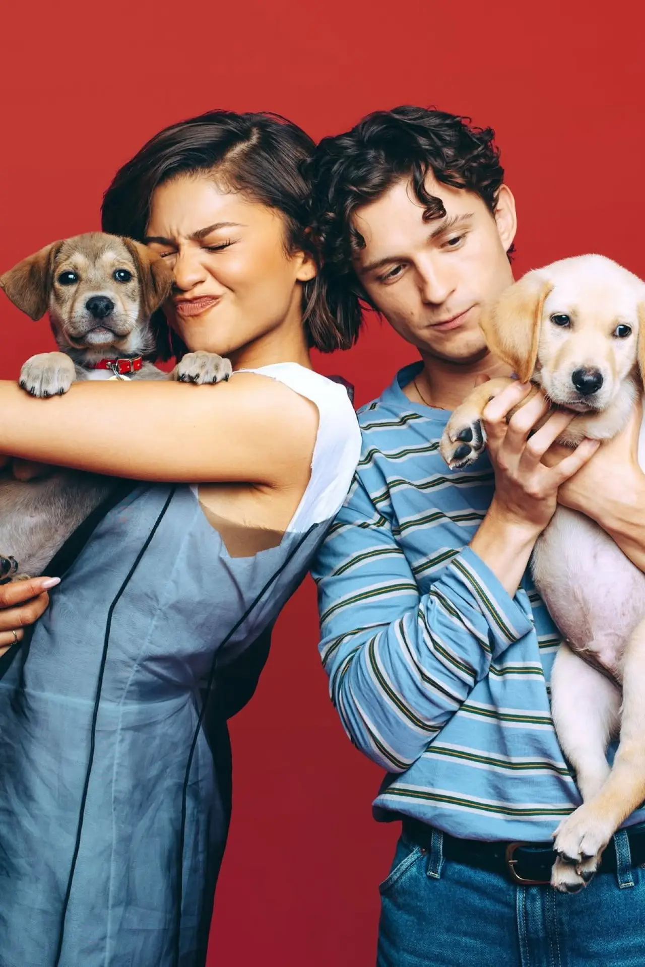 Series poster "Celebs Play With Puppies & Kittens"