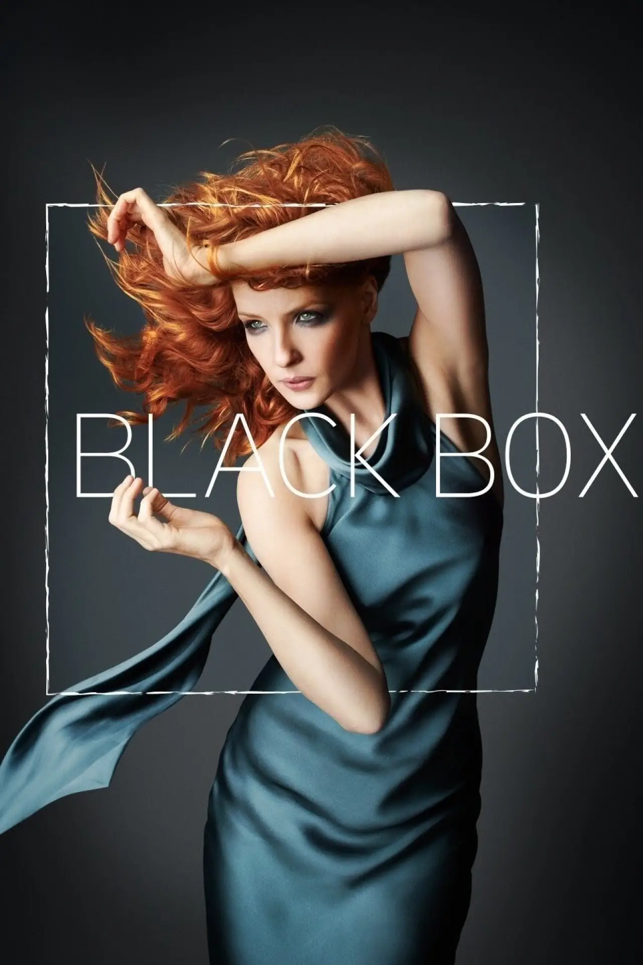 Series poster "Black Box"