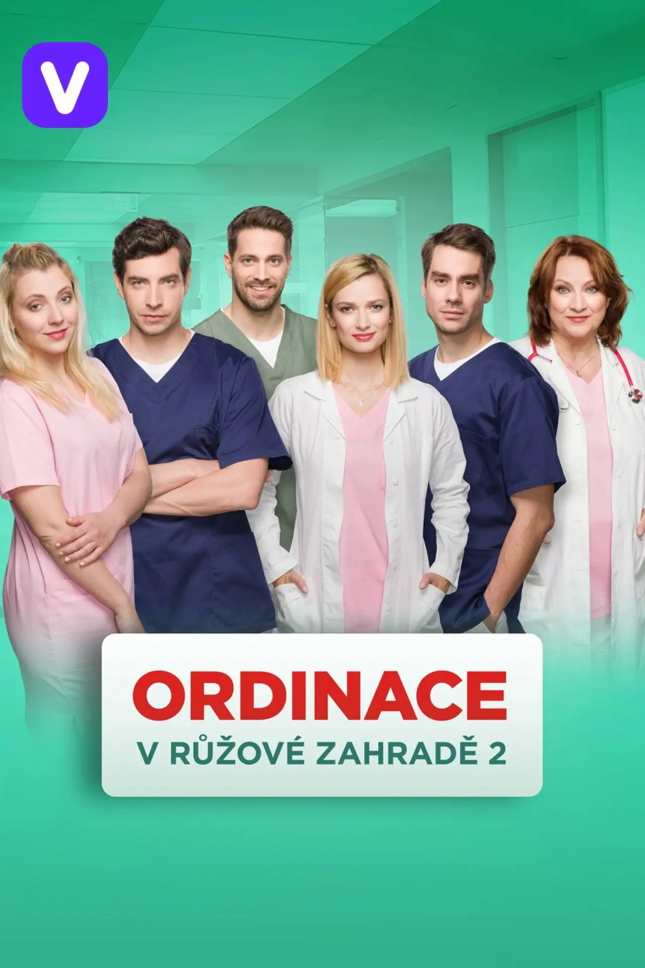 Series poster "Ordinace v růžové zahradě"