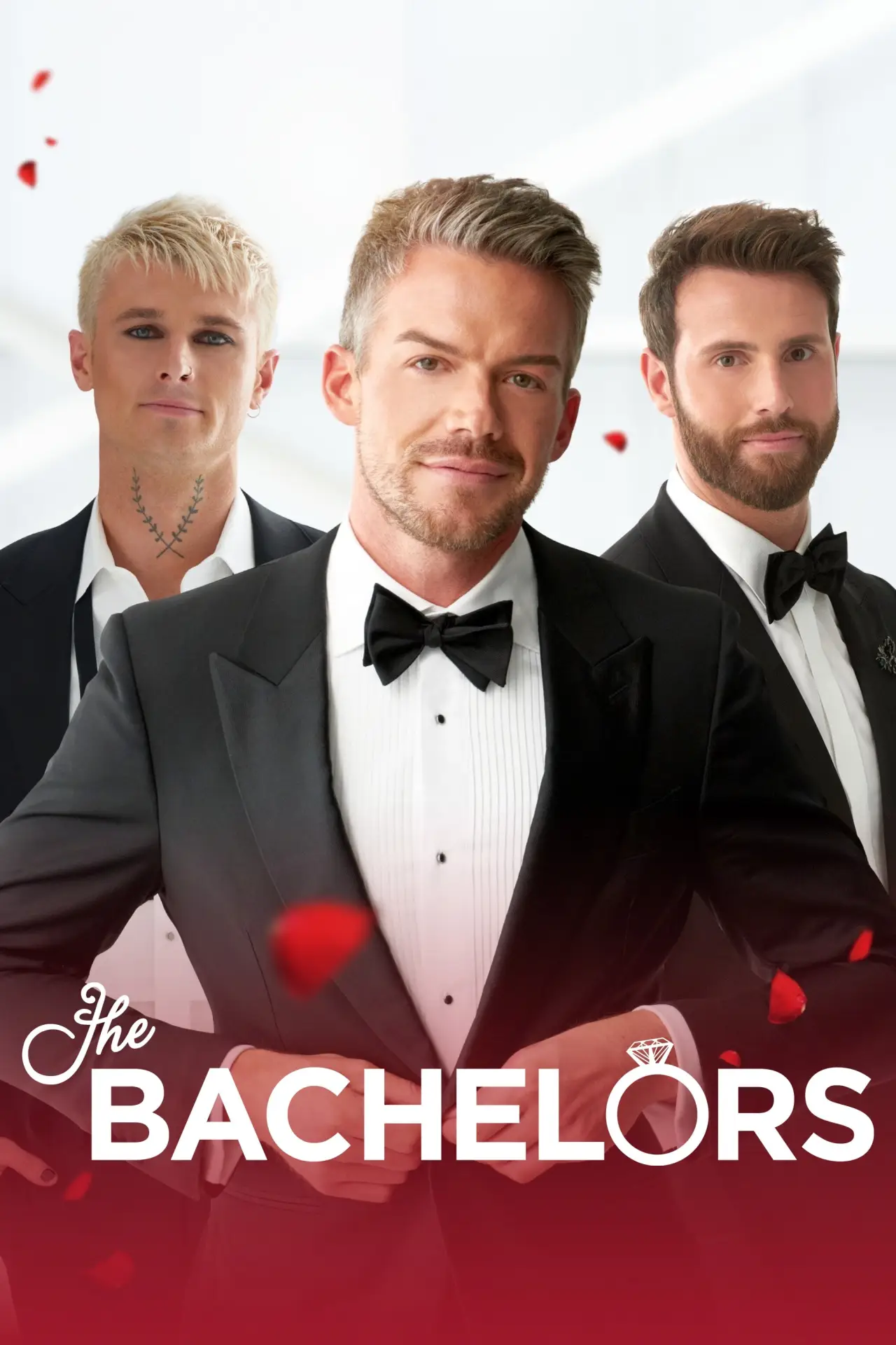 Постер к сериалу "The Bachelor"