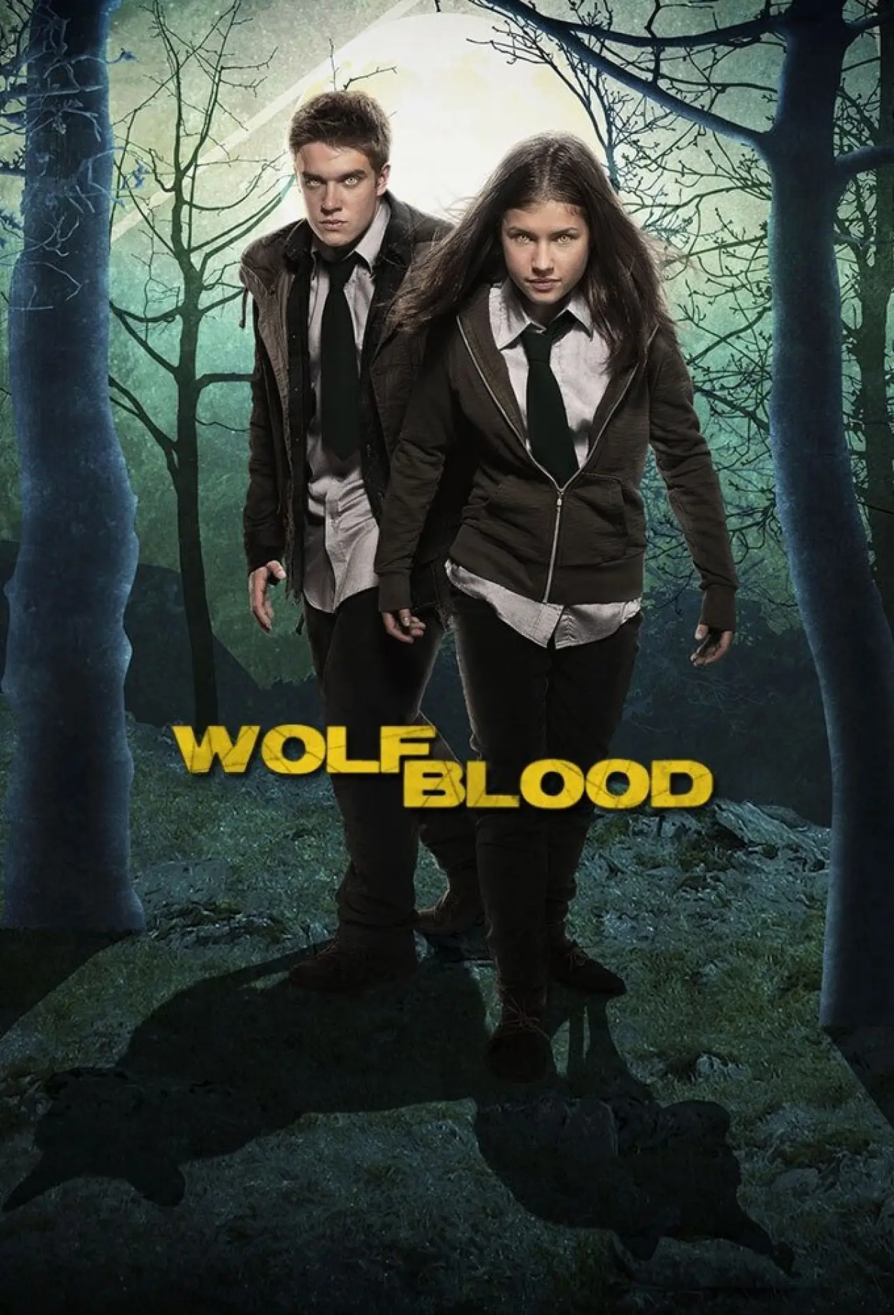 Series poster "Wolfblood"
