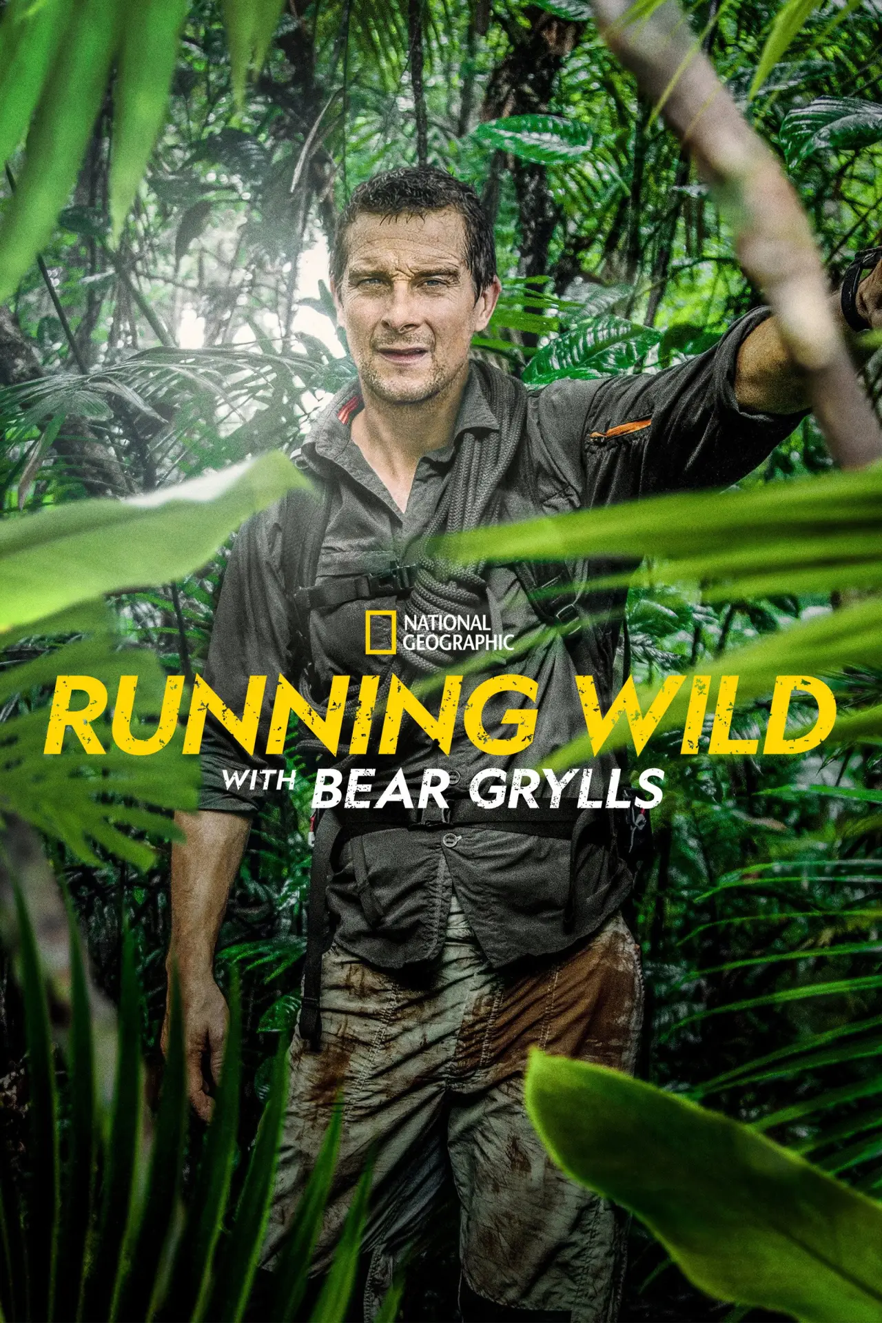 Series poster "Running Wild with Bear Grylls"