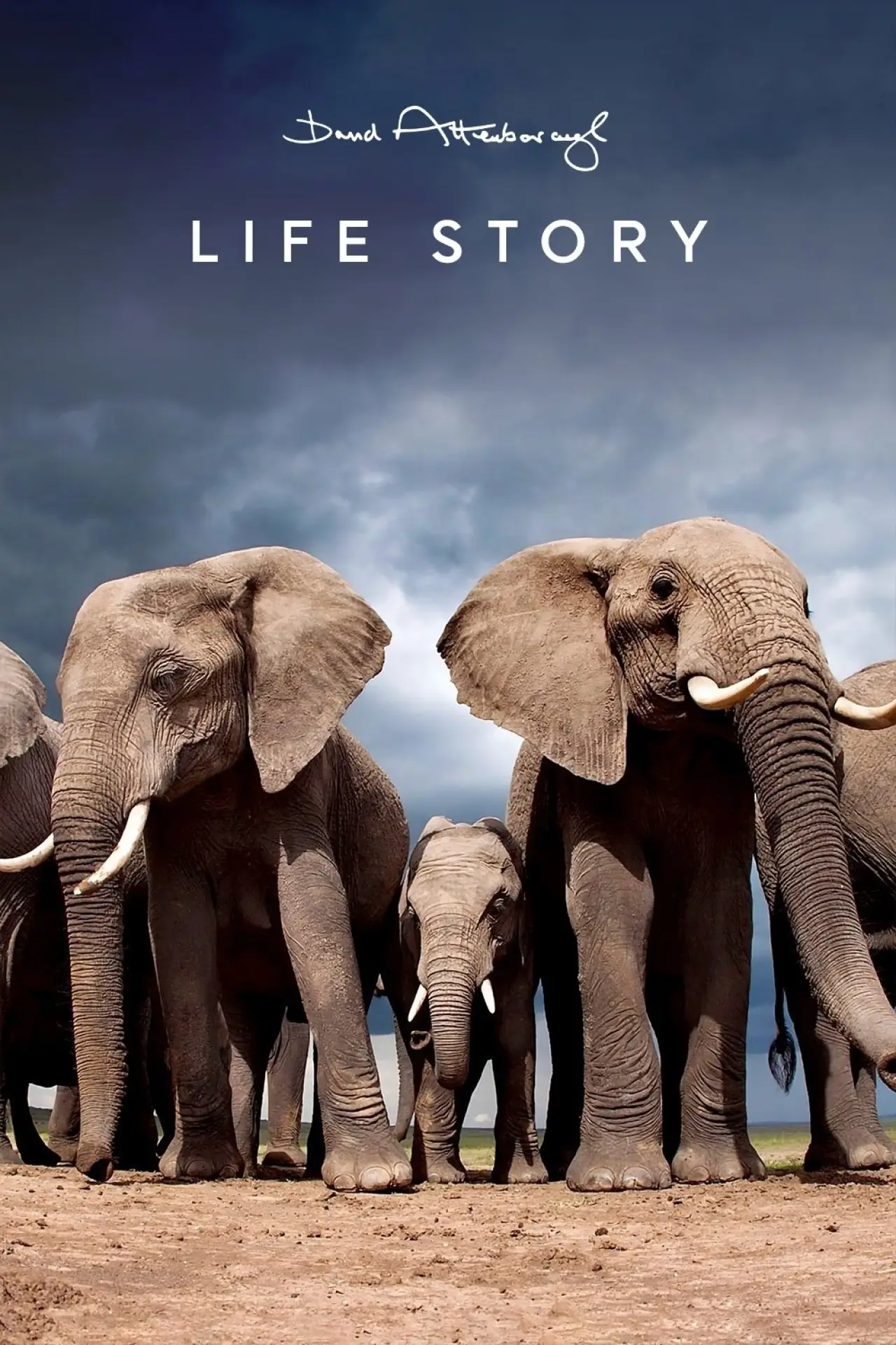 Series poster "Life Story"