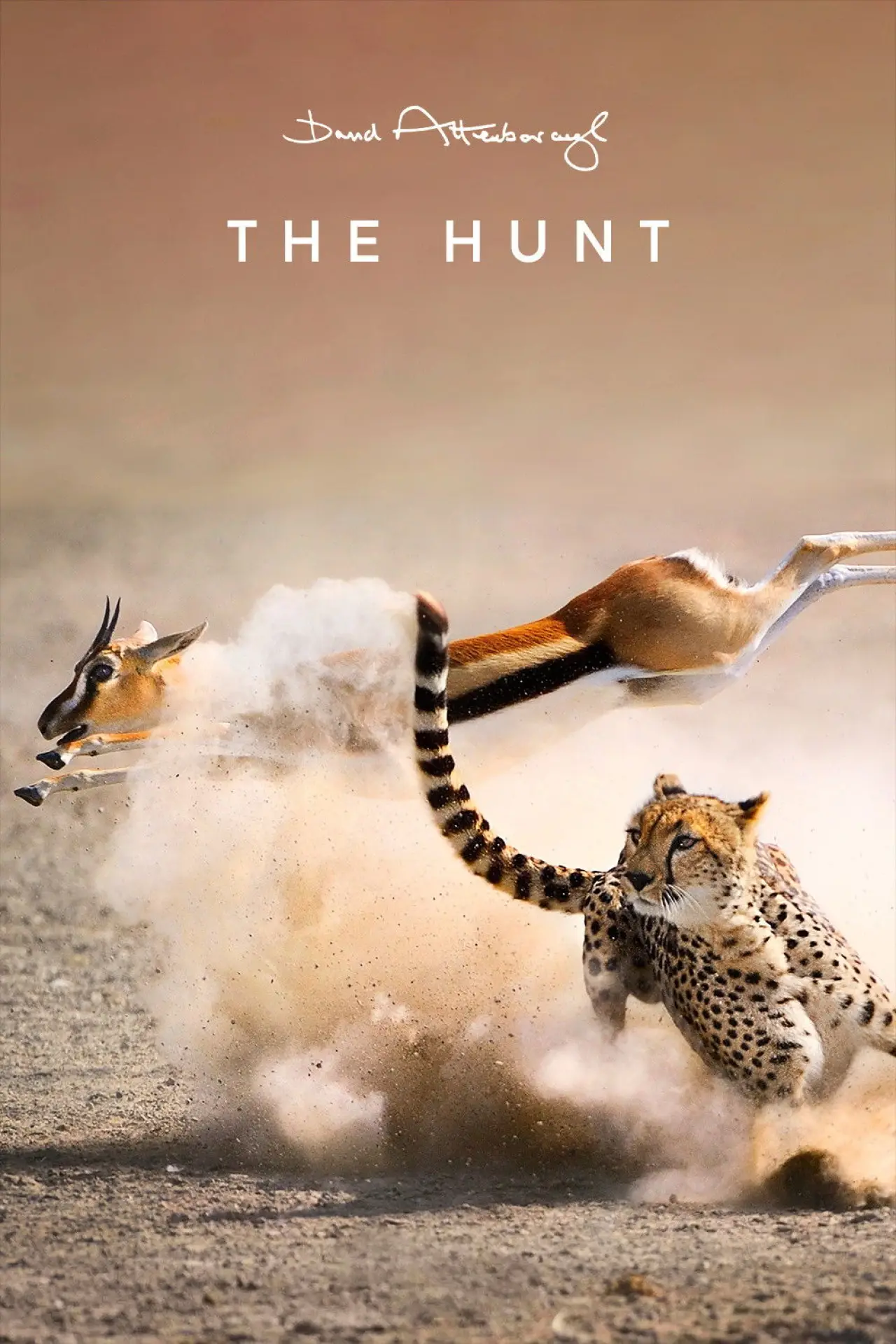 Series poster "The Hunt"