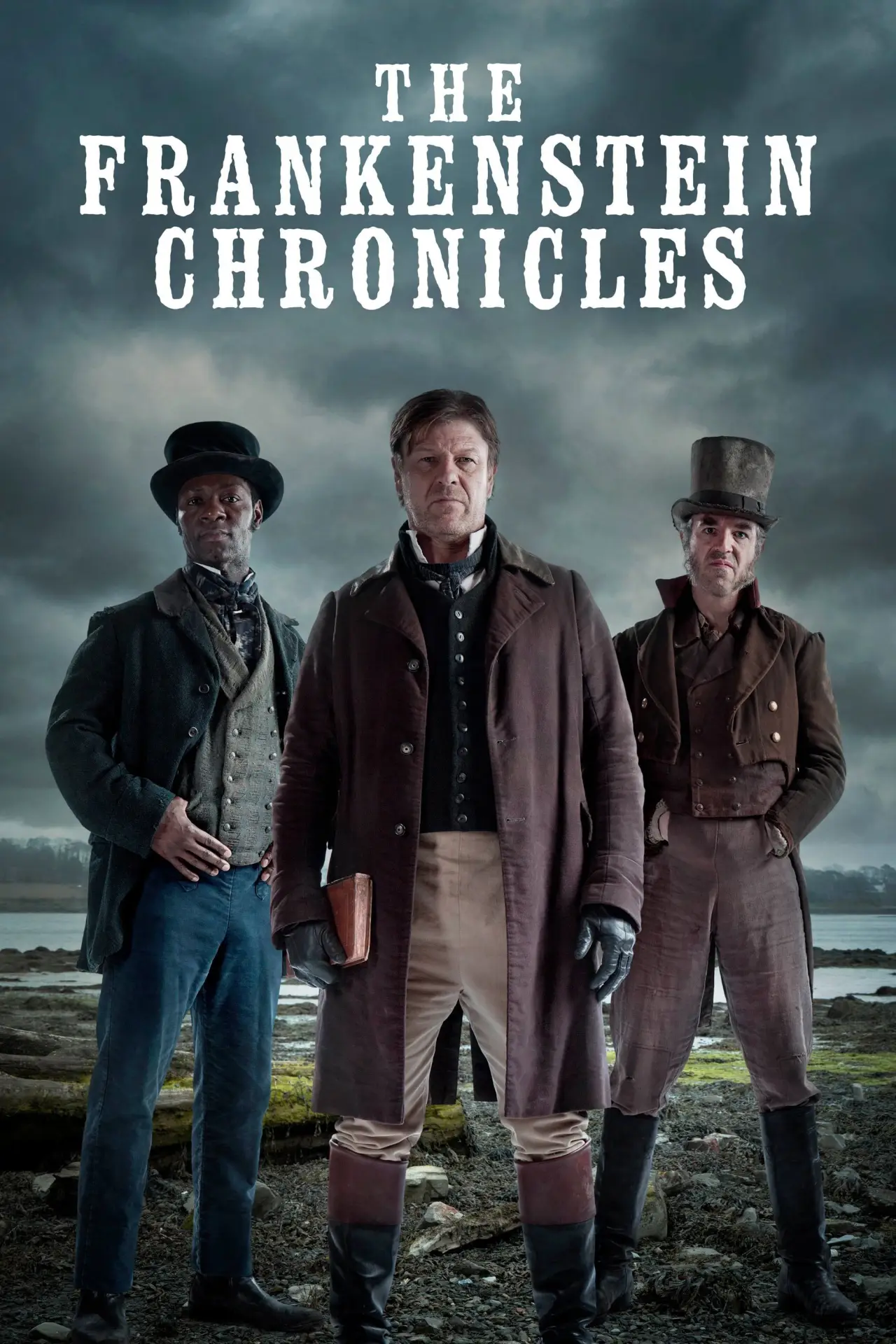 Series poster "The Frankenstein Chronicles"