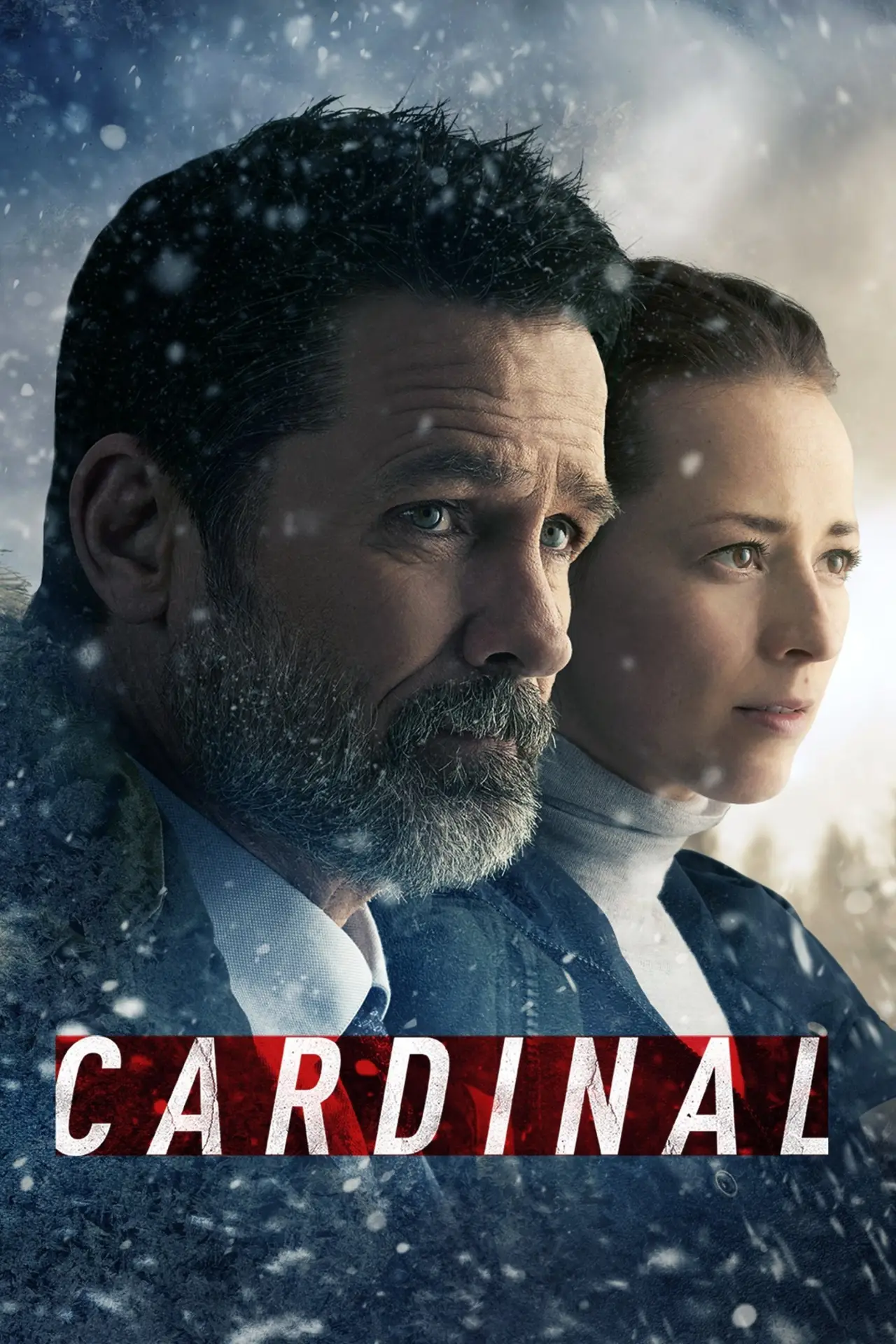 Постер к сериалу "Cardinal"