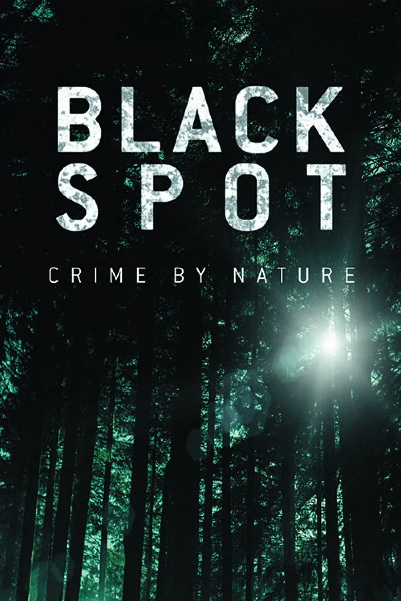 Series poster "Black Spot"