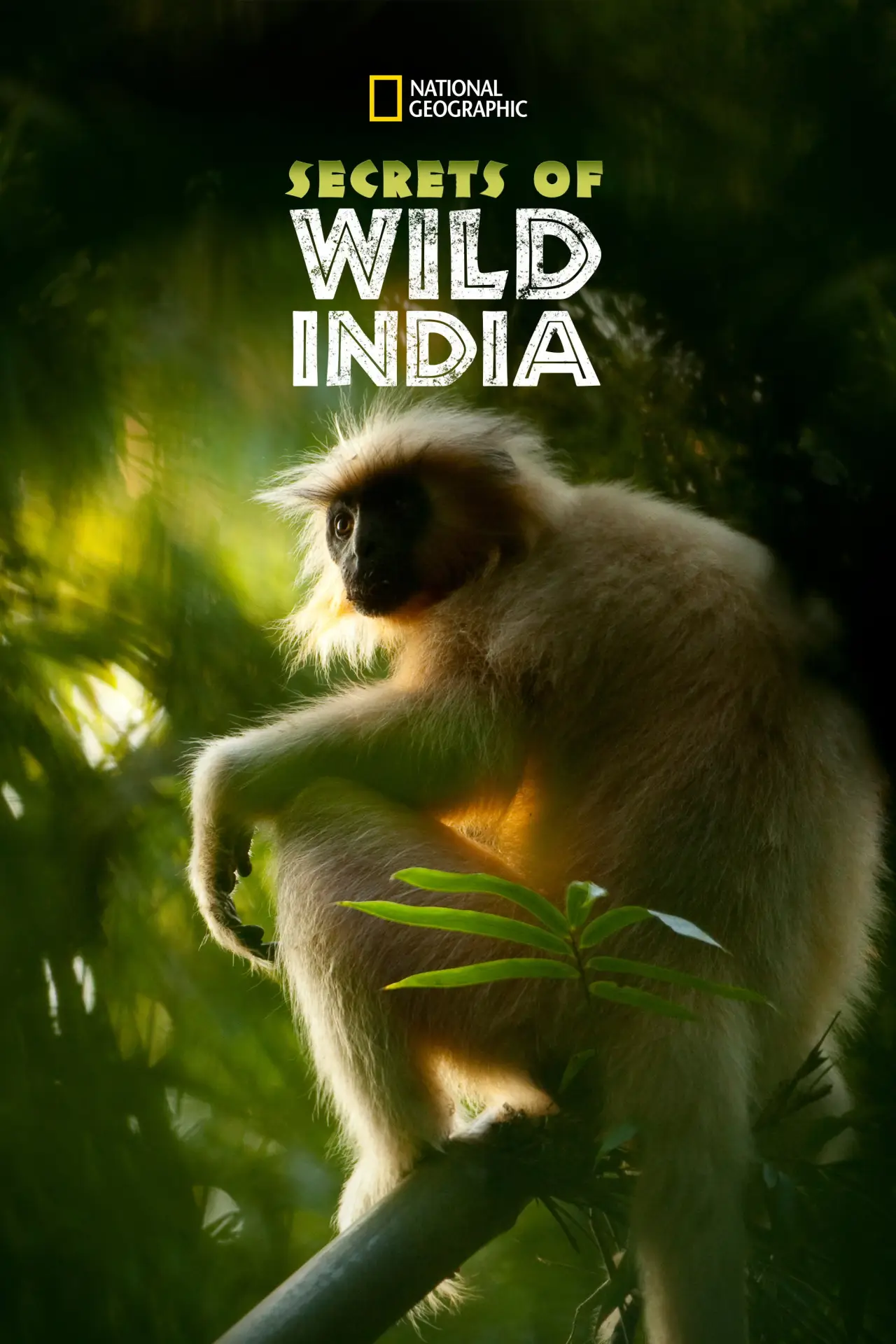 Series poster "Secrets of Wild India"