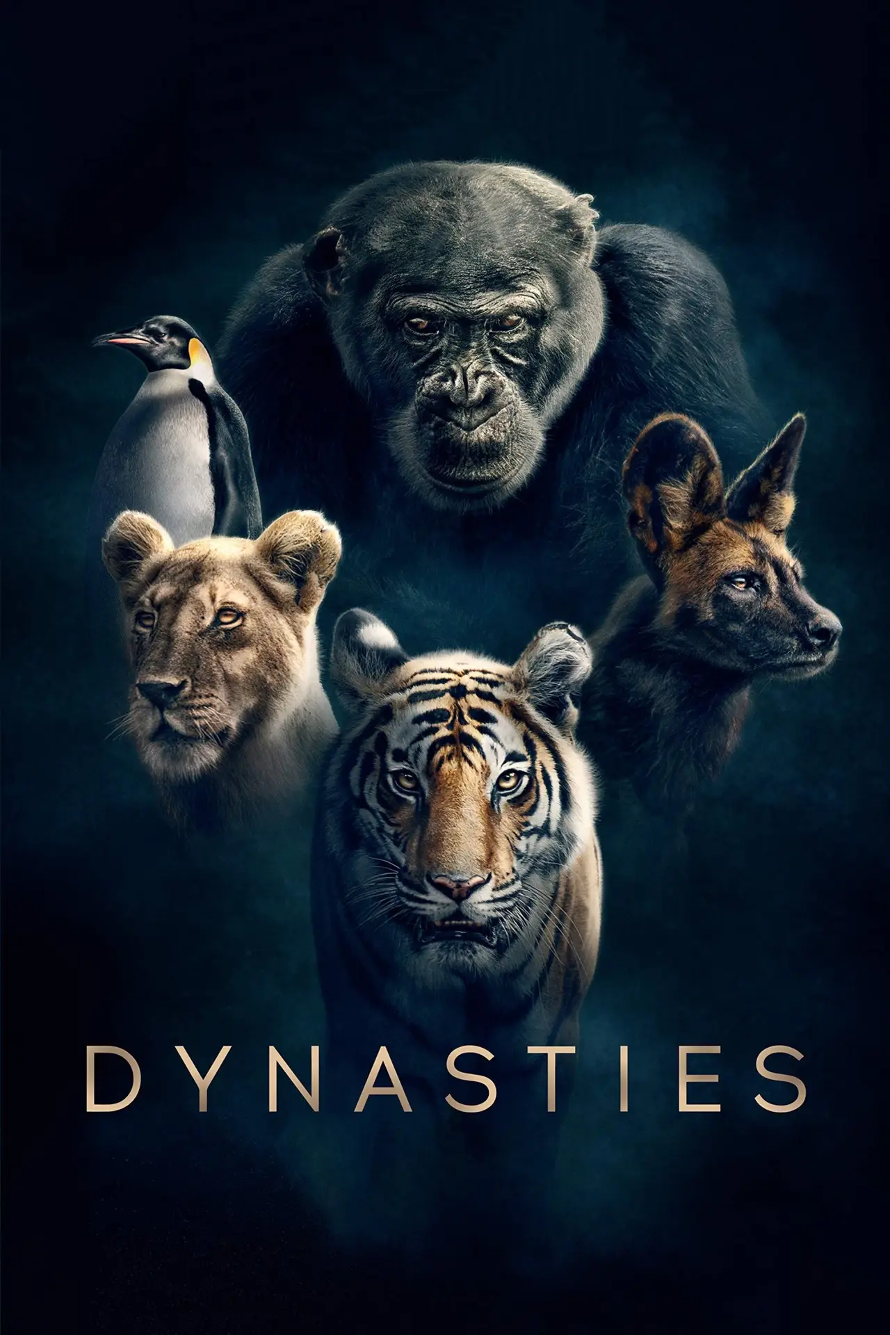 Постер к сериалу "Dynasties"