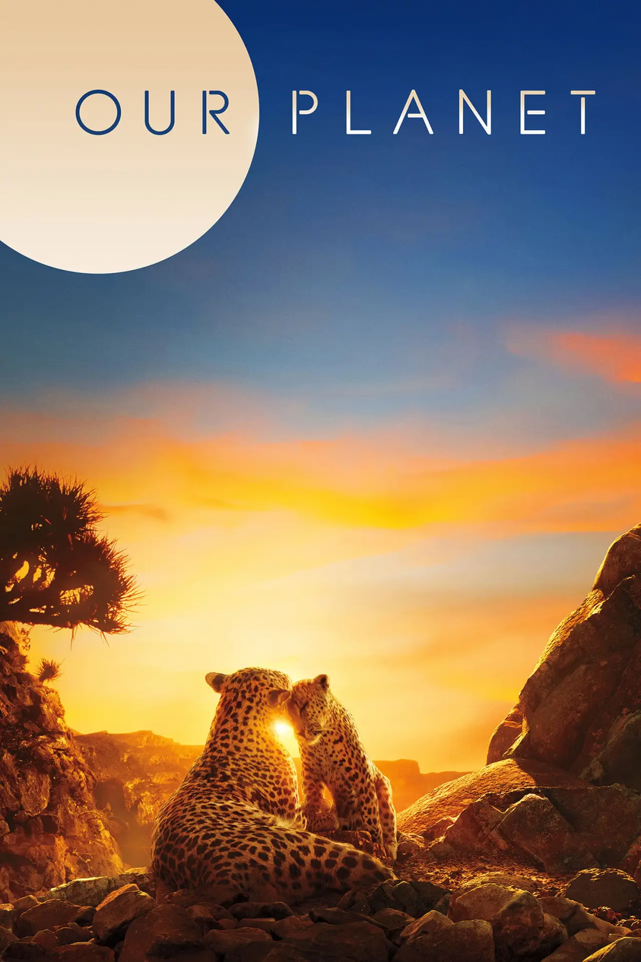 Постер к сериалу "Our Planet"