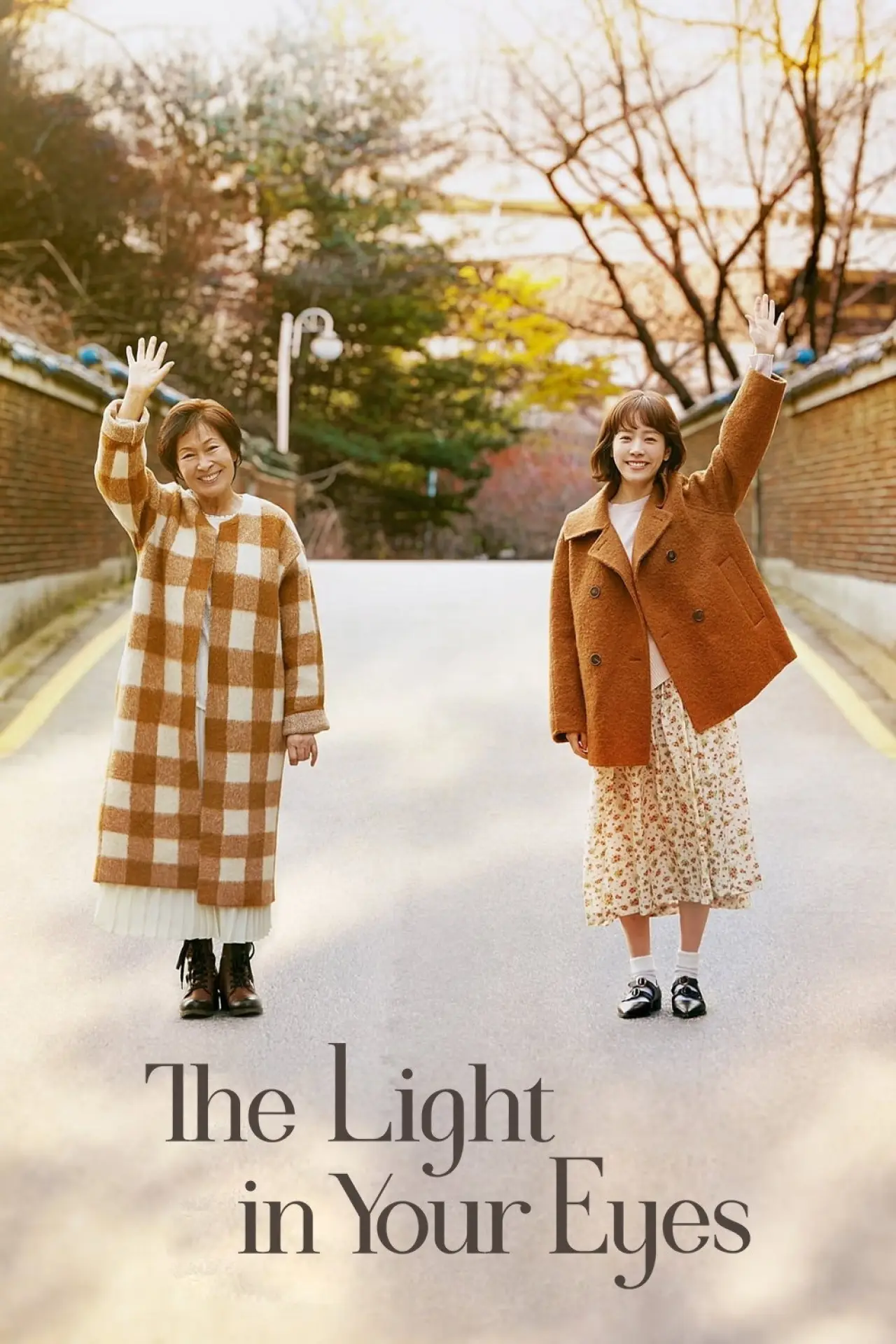 Series poster "The Light in Your Eyes"