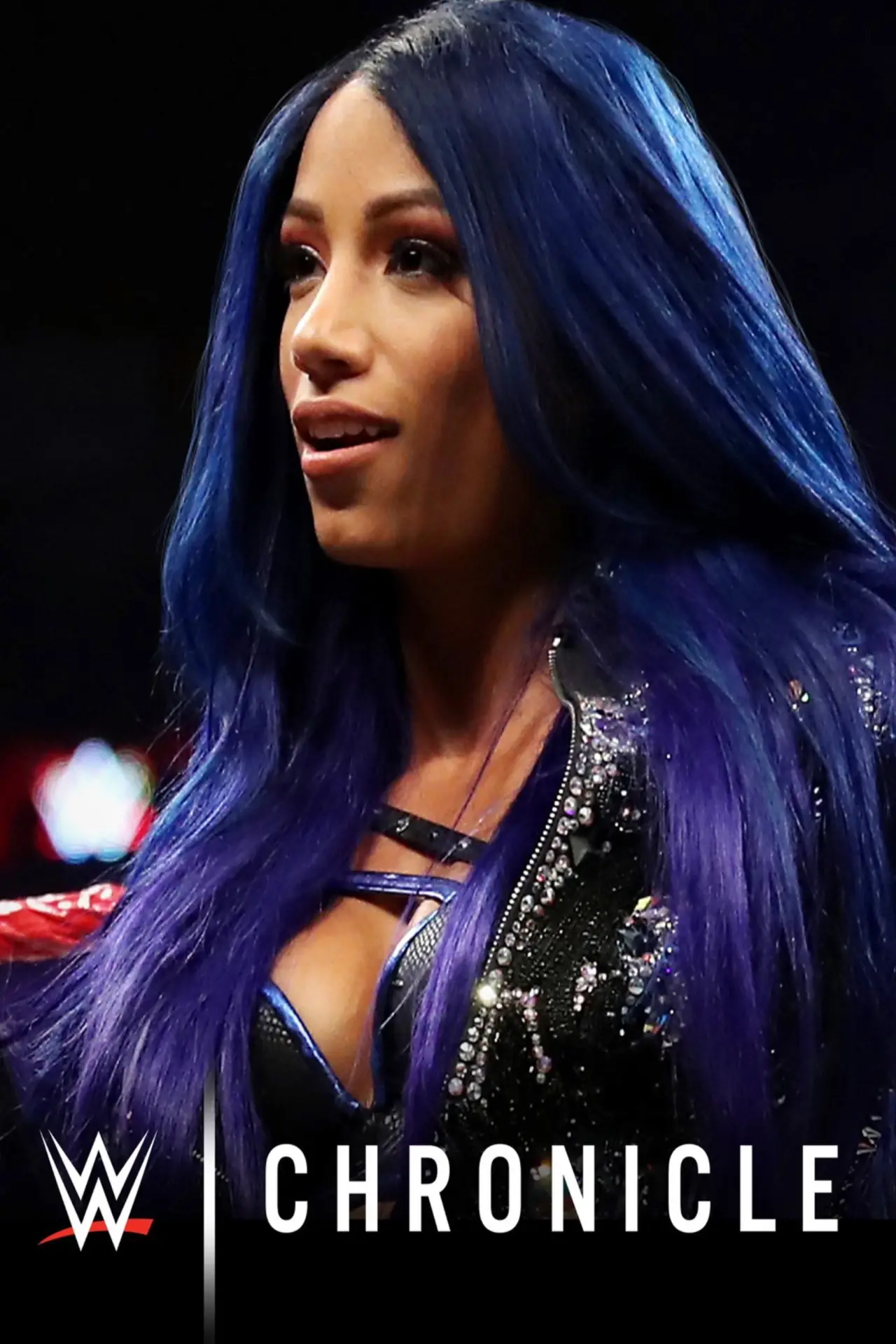 Series poster "WWE Chronicle"
