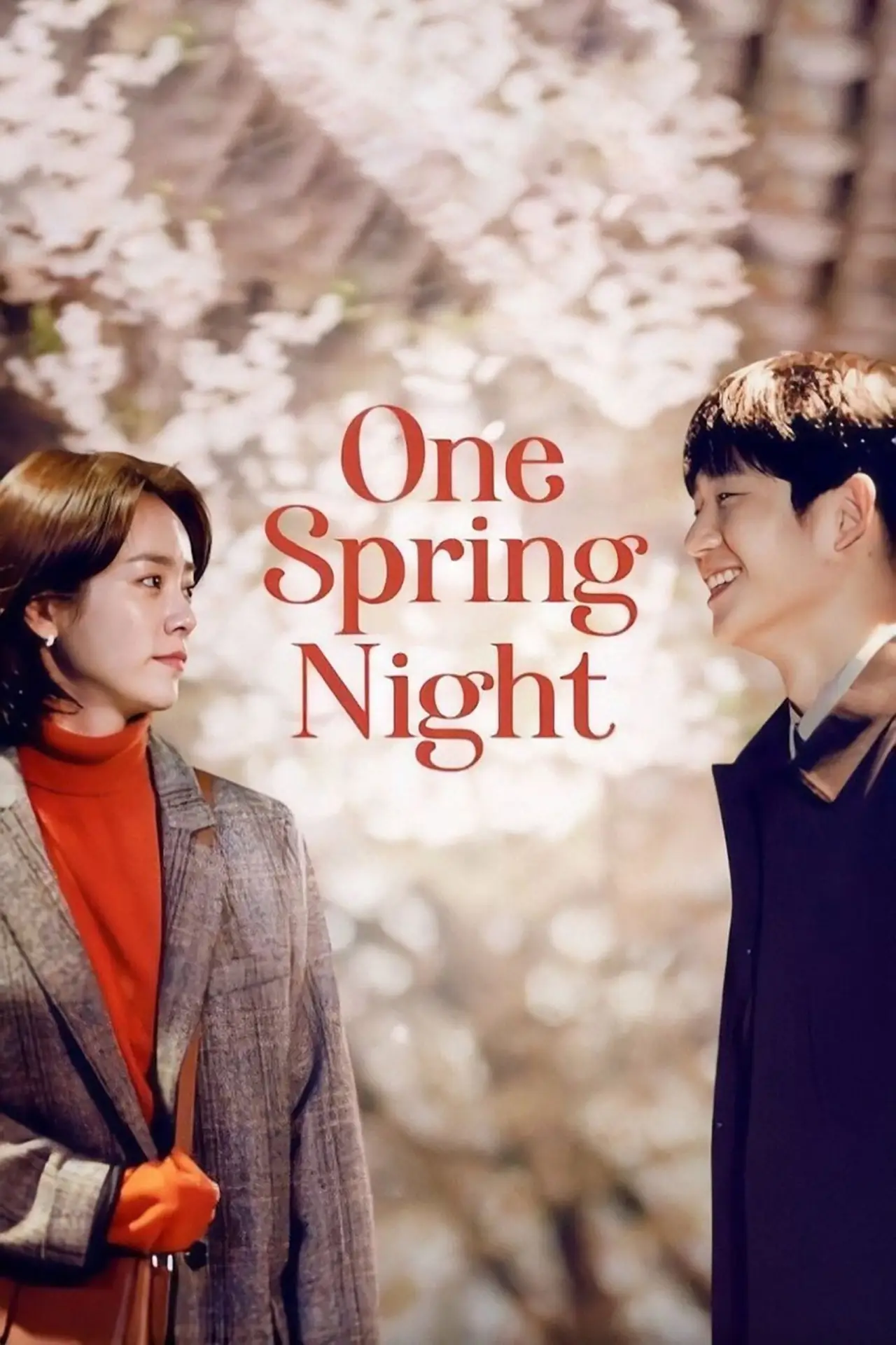 Series poster "One Spring Night"