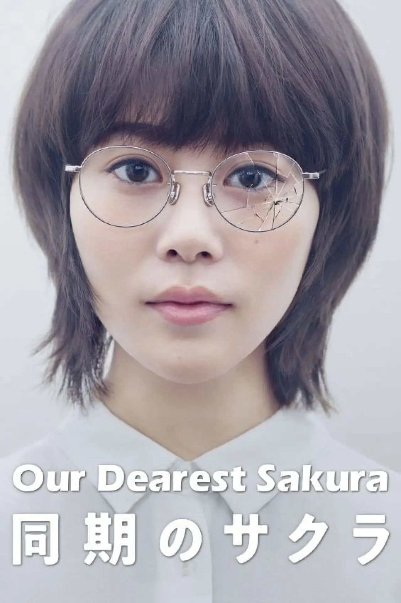 Series poster "Our Dearest Sakura"