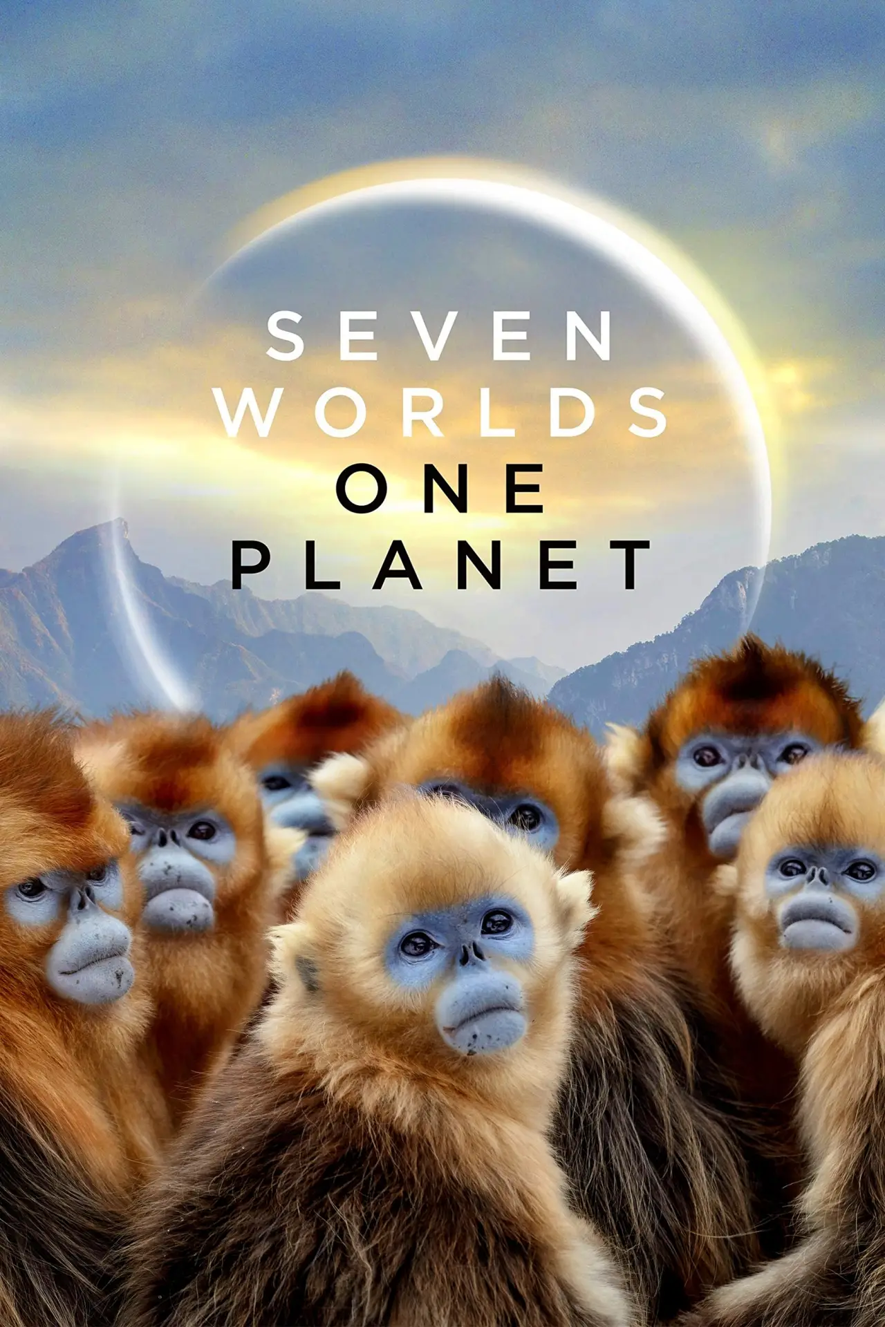 Series poster "Seven Worlds, One Planet"