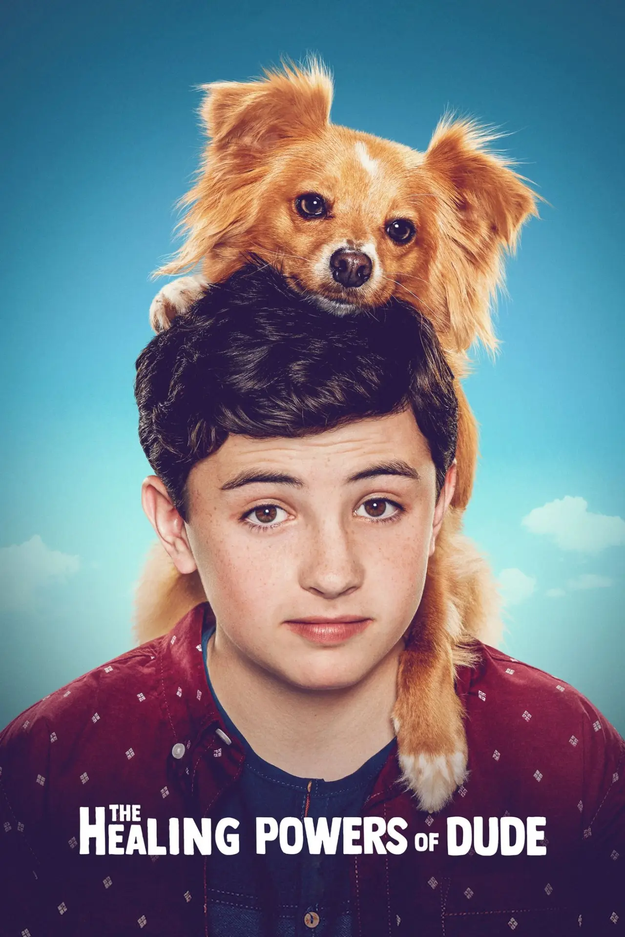 Series poster "The Healing Powers of Dude"