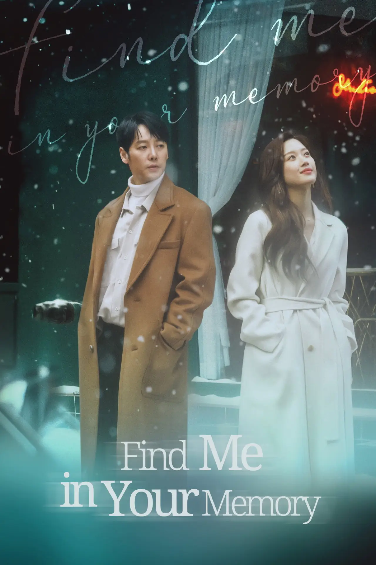 Series poster "Find Me in Your Memory"