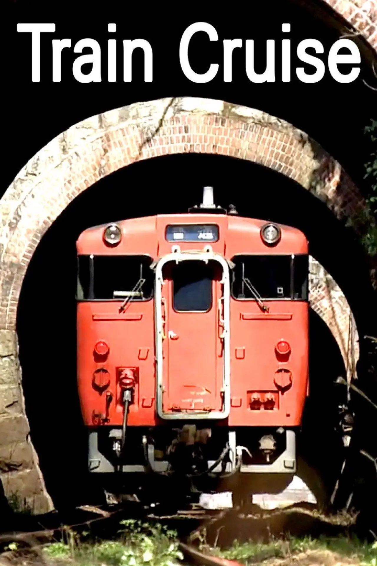 Series poster "Train Cruise"