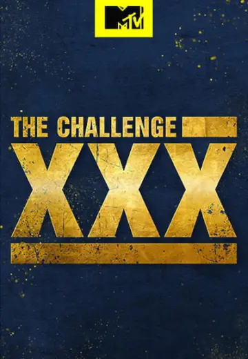 Poster for the TV series "The Challenge" #1251447