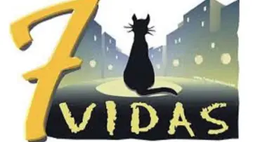 Backdrop к сериалу "7 vidas" #1388991