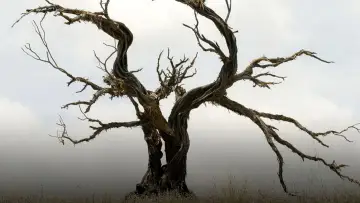 Backdrop for the TV series "Carnivàle" #1403267