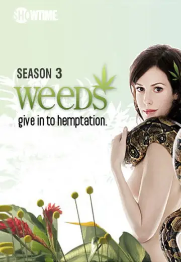 Poster for the TV series "Weeds" #1675559