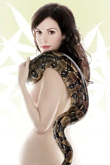 Poster for the TV series "Weeds" #1675563