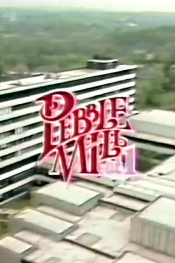 Pebble Mill at One Poster
