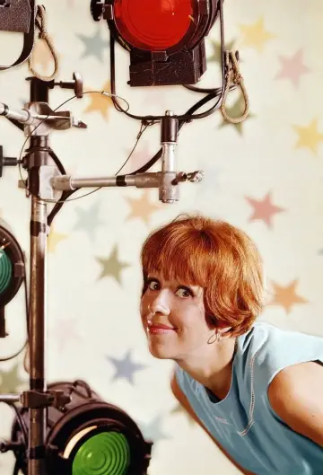 Poster for the TV series "The Carol Burnett Show" #1320852