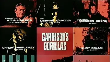 Backdrop for the TV series "Garrison