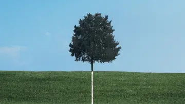 Backdrop к сериалу "Six Feet Under" #1299231