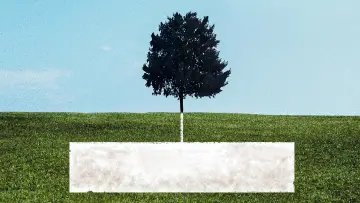 Backdrop к сериалу "Six Feet Under" #1299248