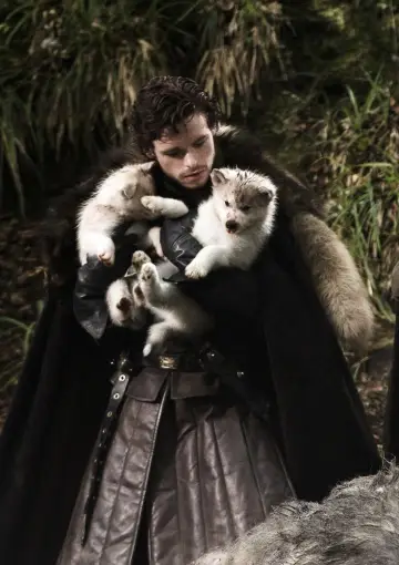 Poster for the TV series "Game of Thrones" #1586588