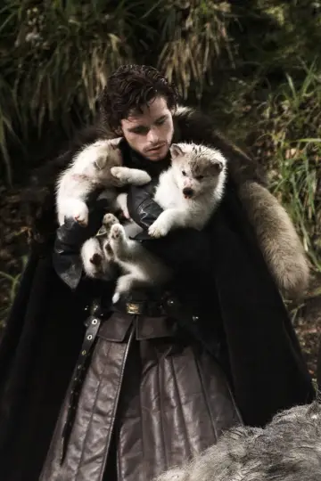 Poster for the TV series "Game of Thrones" #1586590