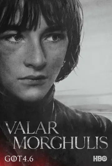 Poster for the TV series "Game of Thrones" #1213463