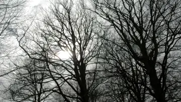 Backdrop for the TV series "Tales from the Darkside" #1338088