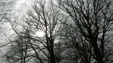 Backdrop for the TV series "Tales from the Darkside" #1338092