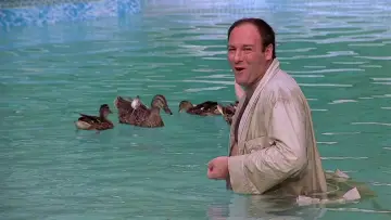 Backdrop к сериалу "The Sopranos" #1318864