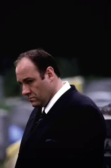Poster for the TV series "The Sopranos" #1514531