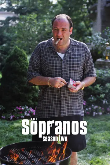 Poster for the TV series "The Sopranos" #1514547