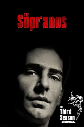 Poster for the TV series "The Sopranos" #1514560