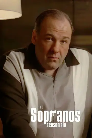 Poster for the TV series "The Sopranos" #1514636
