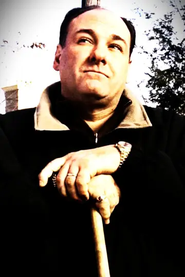 Poster for the TV series "The Sopranos" #1514642