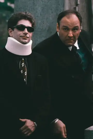 Poster for the TV series "The Sopranos" #1600142